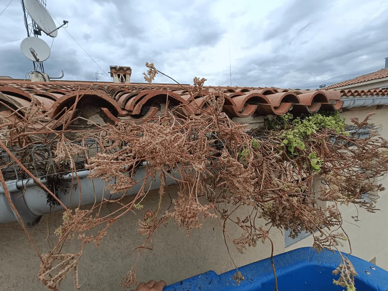 Limpieza de canales y tejados en un edificio de Barcelona